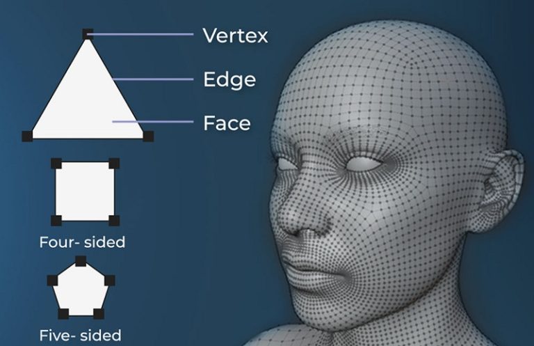 3d-modeling-basis-768x497